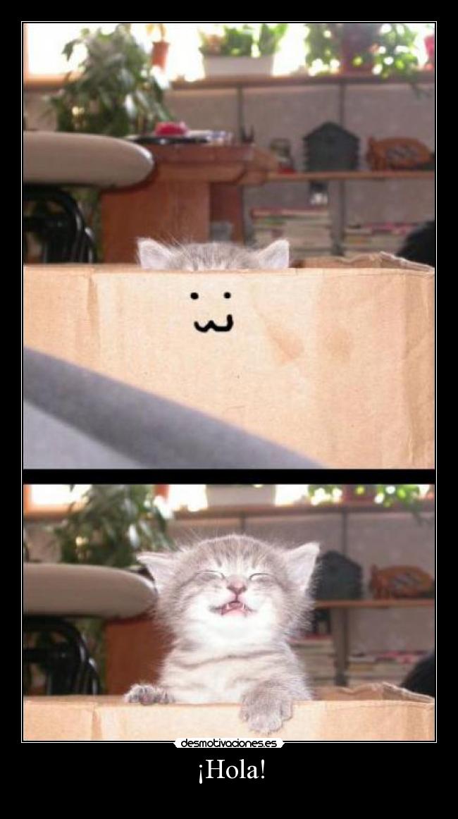 ¡Hola! -