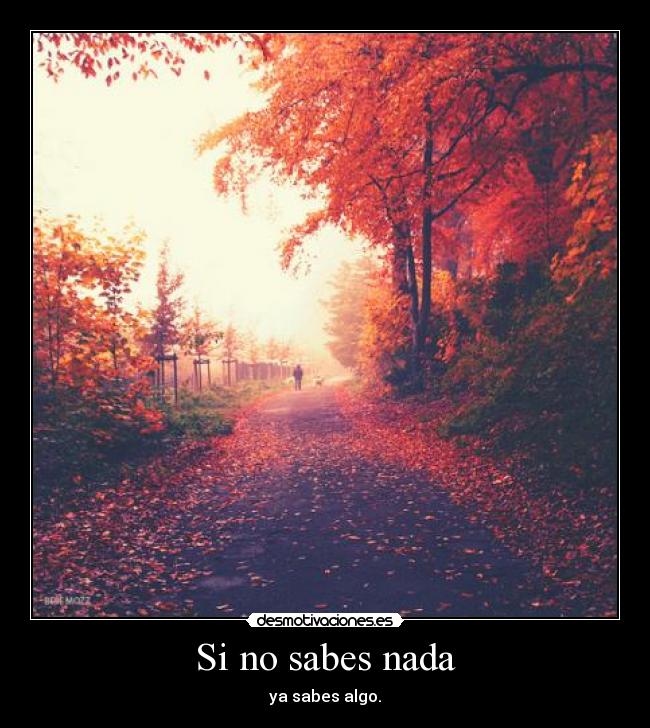 Si no sabes nada - 