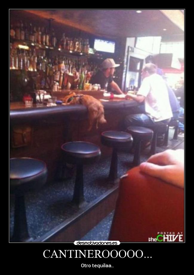 CANTINEROOOOO... - Otro tequilaa..