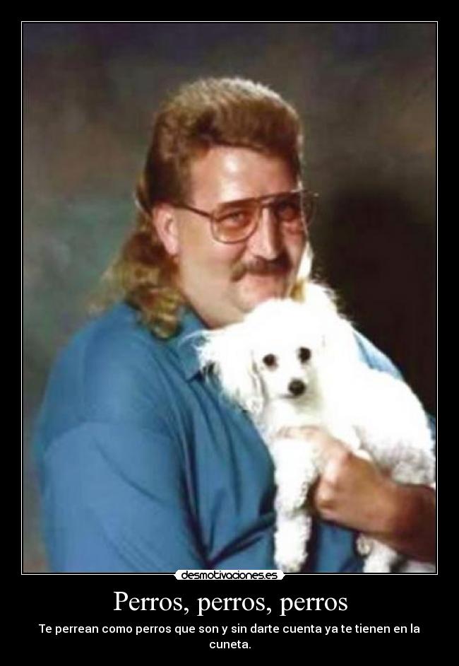 Perros, perros, perros - Te perrean como perros que son y sin darte cuenta ya te tienen en la cuneta.