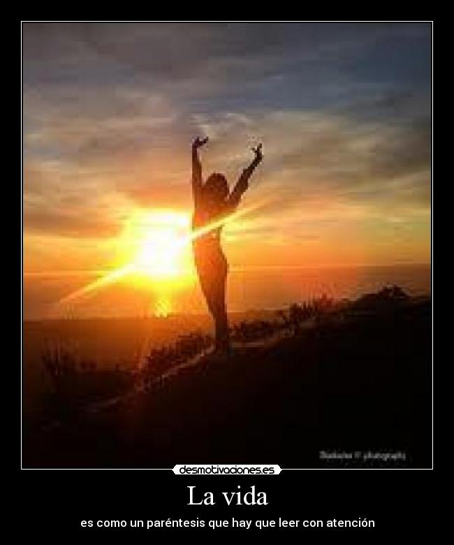 La vida - es como un paréntesis que hay que leer con atención