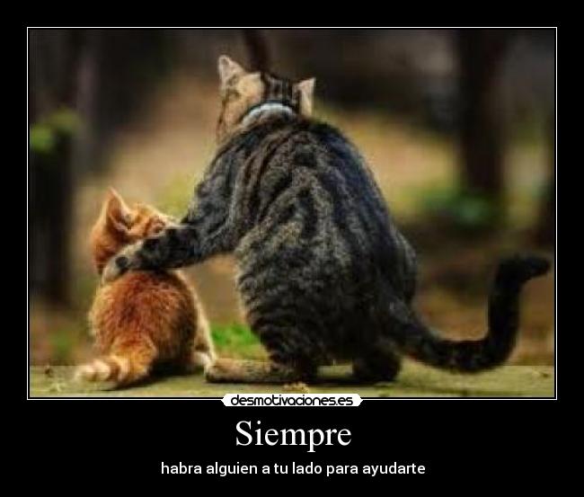 Siempre - habra alguien a tu lado para ayudarte