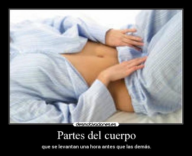 Partes del cuerpo -