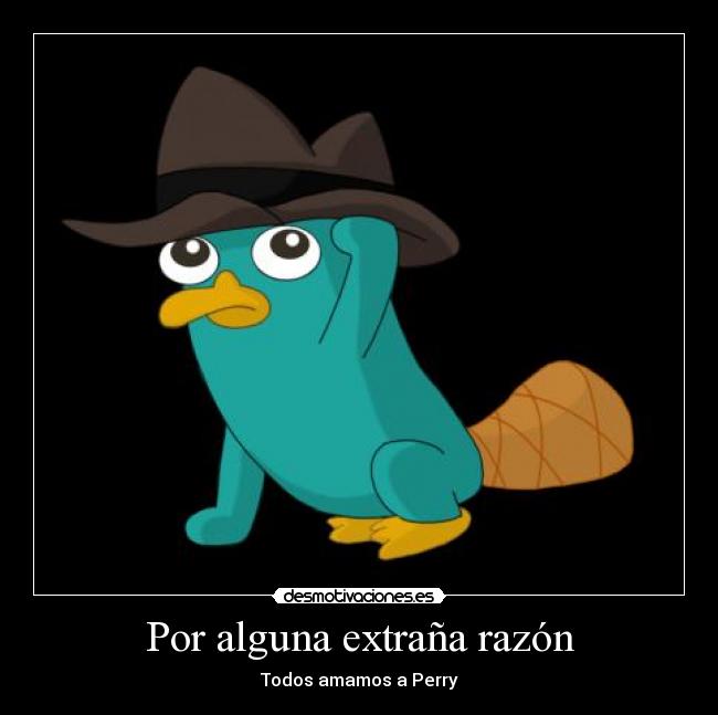 Por alguna extraña razón -