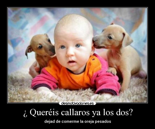 carteles desmotivaciones