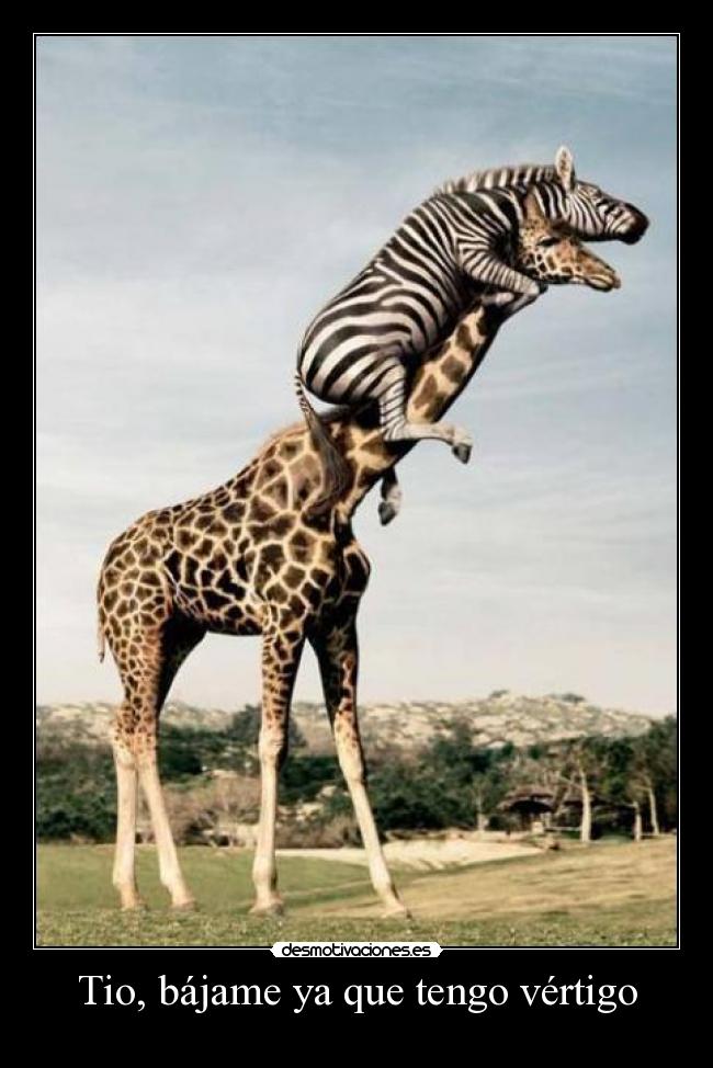 Tio, bájame ya que tengo vértigo -