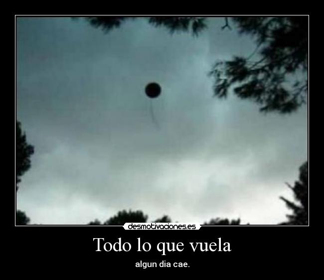Todo lo que vuela -
