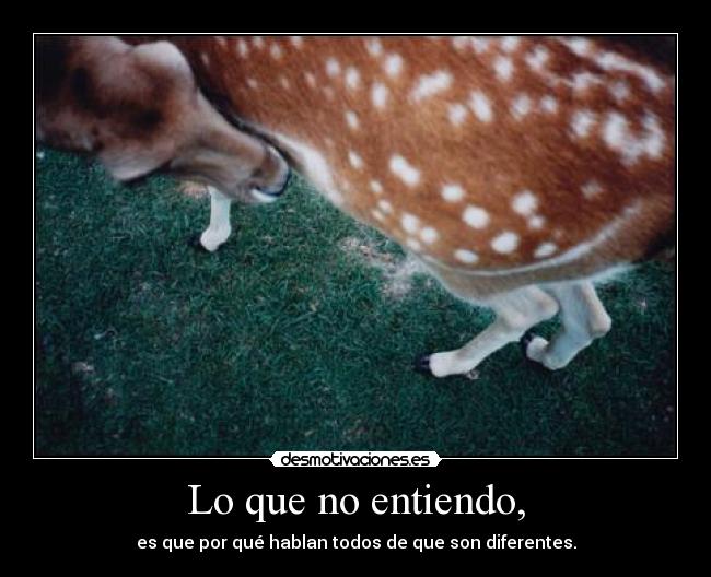 Lo que no entiendo, - es que por qué hablan todos de que son diferentes.