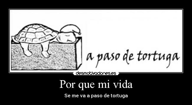 Por que mi vida - Se me va a paso de tortuga