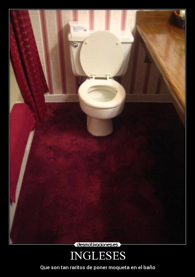 INGLESES - Que son tan raritos de poner moqueta en el baño