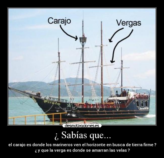 ¿ Sabías que... - el carajo es donde los marineros ven el horizonte en busca de tierra firme ?
¿ y que la verga es donde se amarran las velas ?