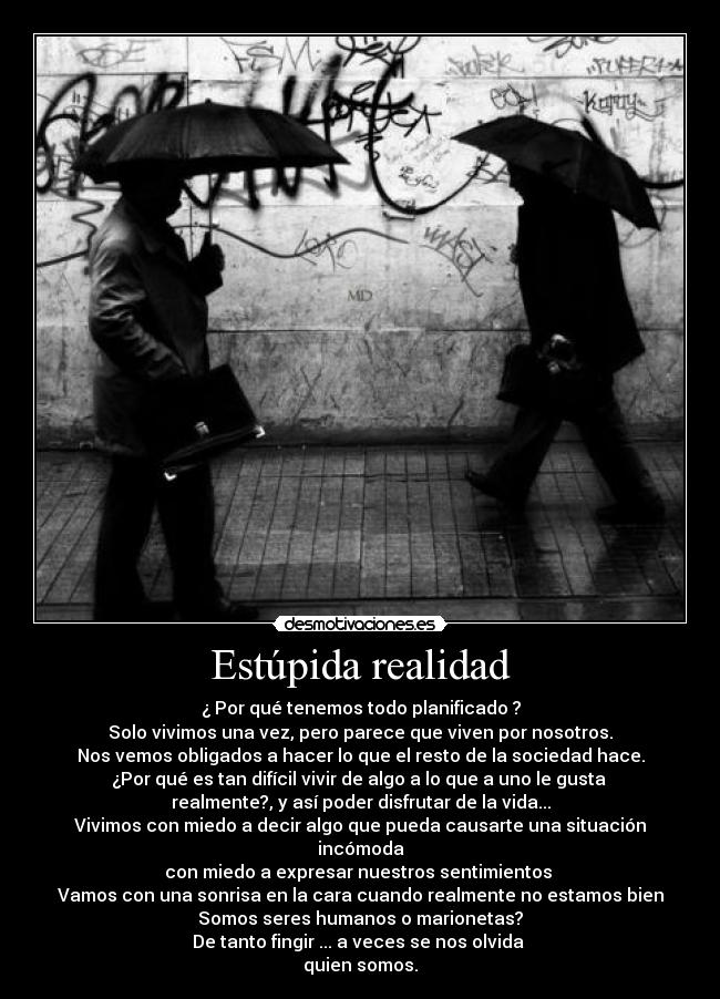 Estúpida realidad -