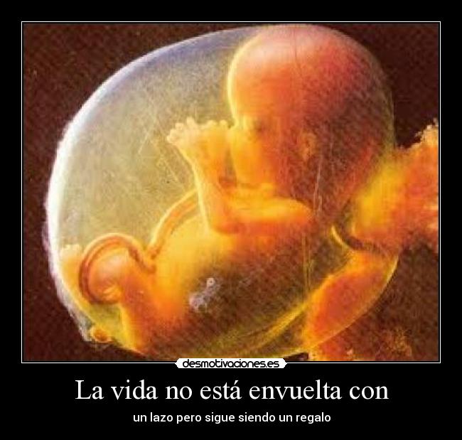 La vida no está envuelta con -