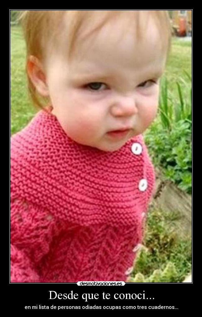 Desde que te conoci... - en mi lista de personas odiadas ocupas como tres cuadernos...