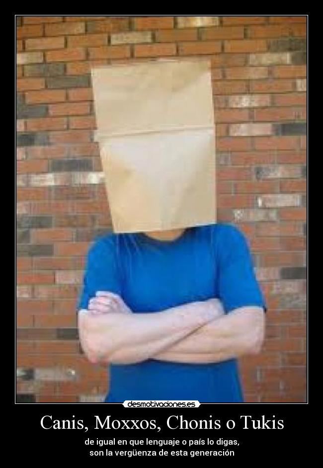 Canis, Moxxos, Chonis o Tukis -