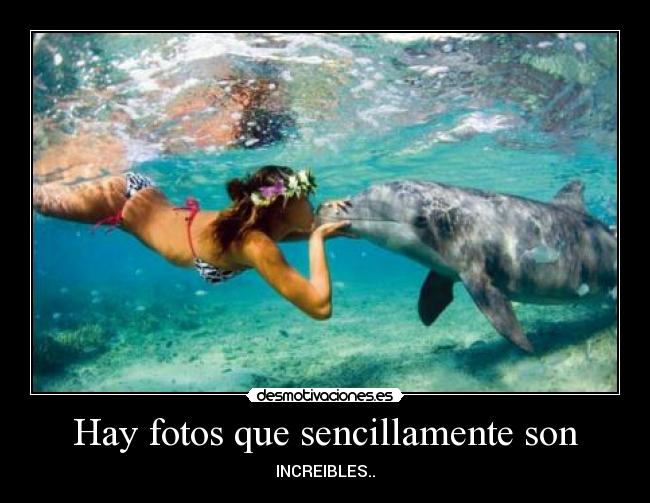 Hay fotos que sencillamente son -