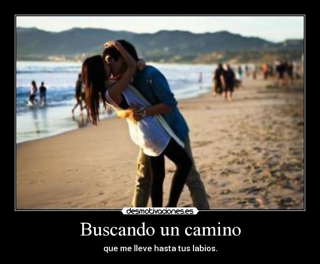 Buscando un camino -