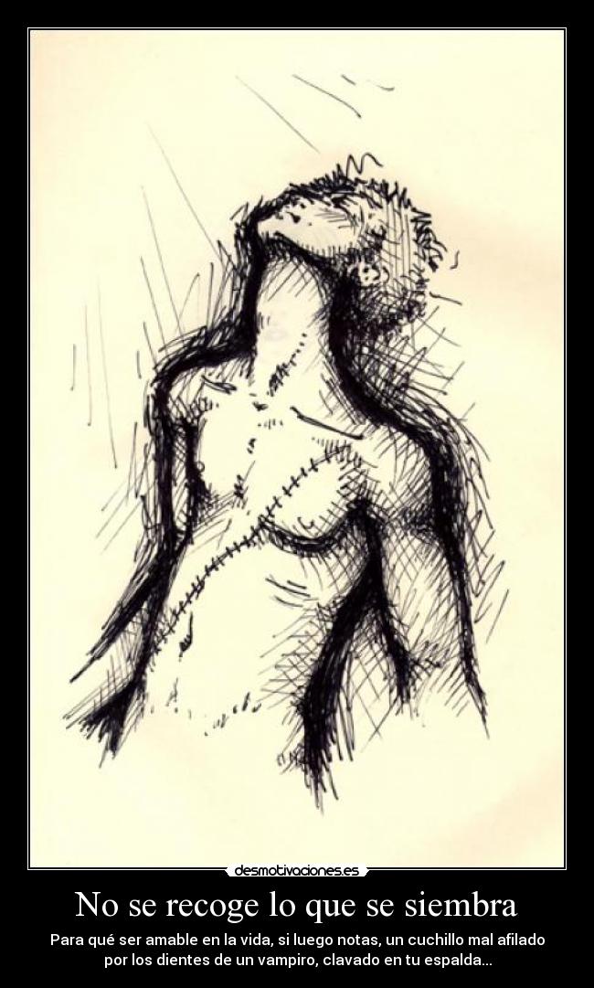 carteles one piece zoro recoge que siembra mugiwarax hakunamatata creo ver ante nuevo desmotivaciones