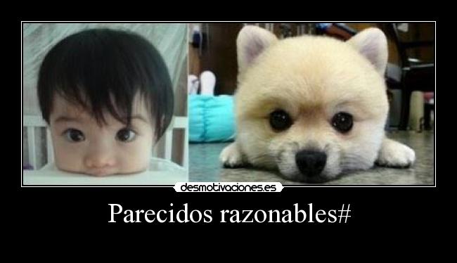 Parecidos razonables# -