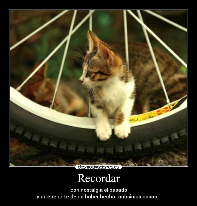 Recordar - con nostalgia el pasado
y arrepentirte de no haber hecho tantísimas cosas…