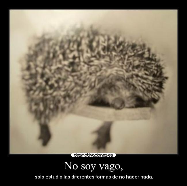 No soy vago, - solo estudio las diferentes formas de no hacer nada.