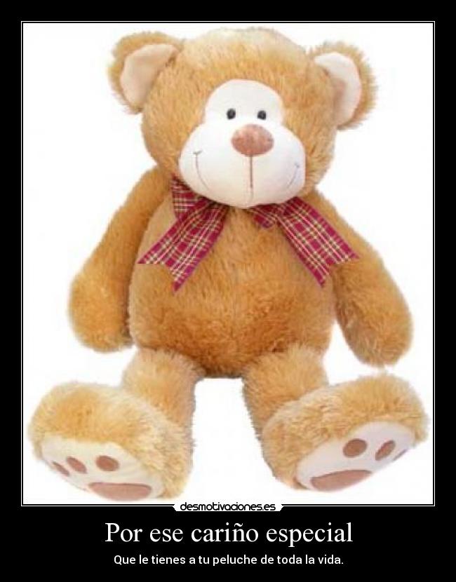 carteles peluche toda vida desmotivaciones