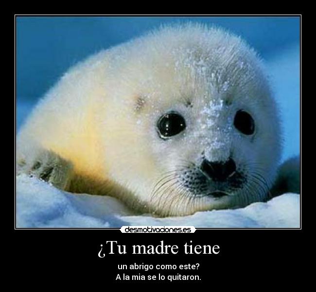 ¿Tu madre tiene - 