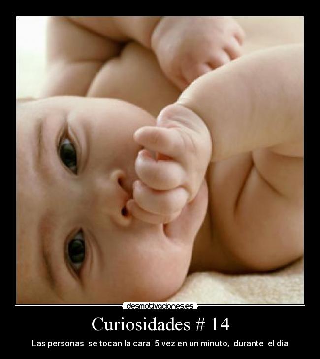 Curiosidades # 14 -