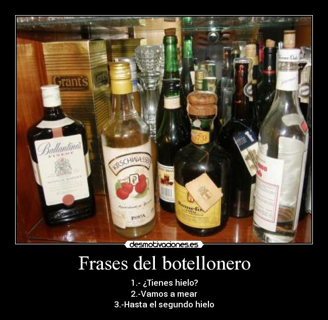 Frases del botellonero - 1.- ¿Tienes hielo?
2.-Vamos a mear
3.-Hasta el segundo hielo