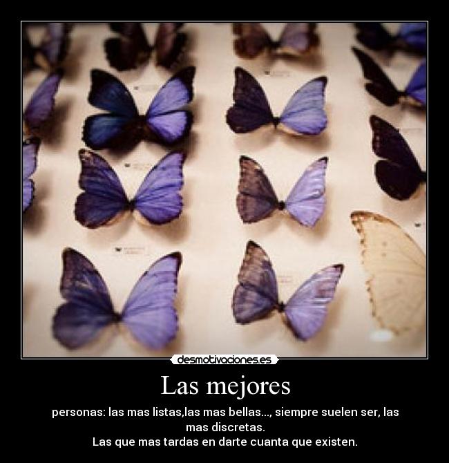 carteles mundo esta lleno idiotas pero saber buscar bien encontraras grandes personas desmotivaciones