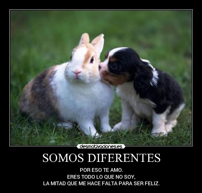 SOMOS DIFERENTES - POR ESO TE AMO.
ERES TODO LO QUE NO SOY,
LA MITAD QUE ME HACE FALTA PARA SER FELIZ.