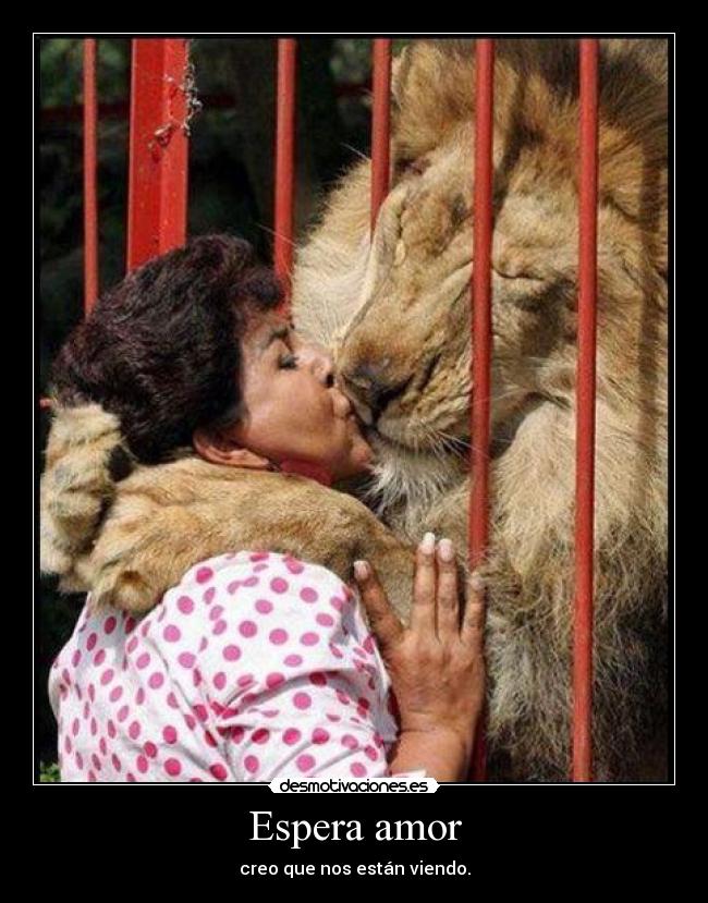 Espera amor - creo que nos están viendo.