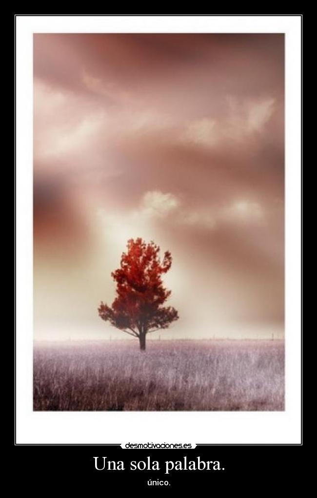 Una sola palabra. - único.
