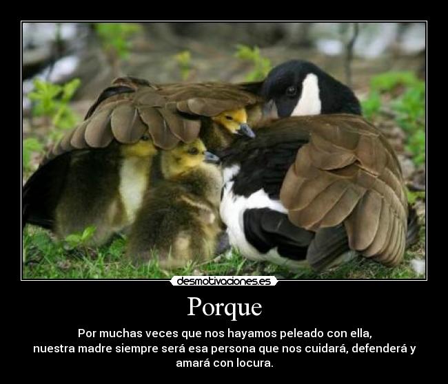 Porque - Por muchas veces que nos hayamos peleado con ella,
nuestra madre siempre será esa persona que nos cuidará, defenderá y
amará con locura.