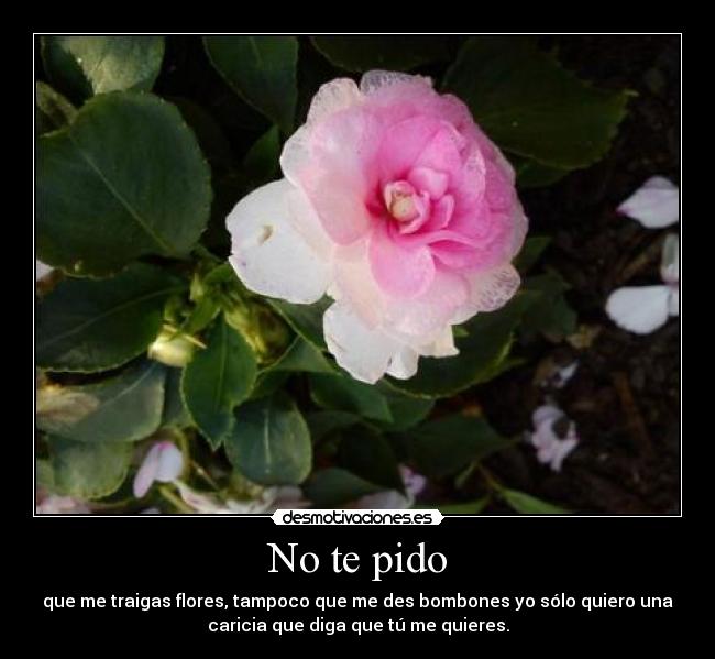 No te pido - 