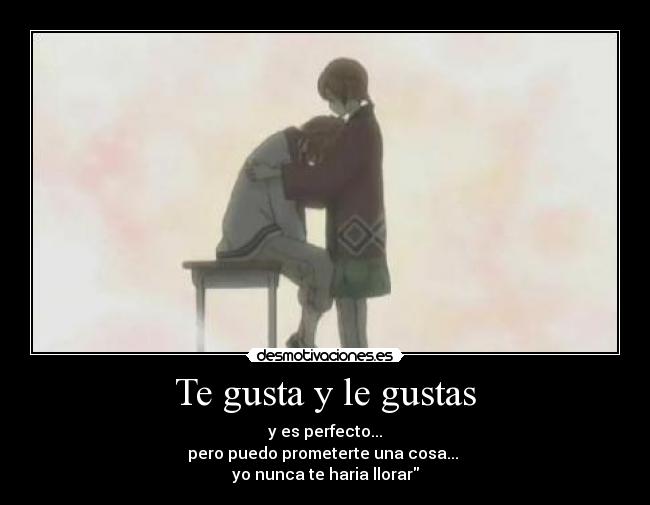 Te gusta y le gustas - y es perfecto...
pero puedo prometerte una cosa...
yo nunca te haria llorar
