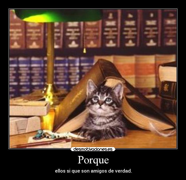 Porque - 
