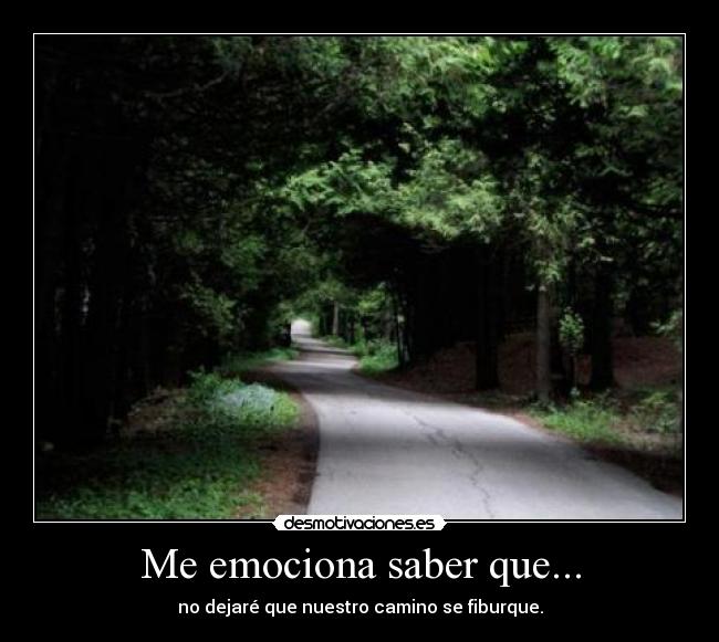 Me emociona saber que... - no dejaré que nuestro camino se fiburque.