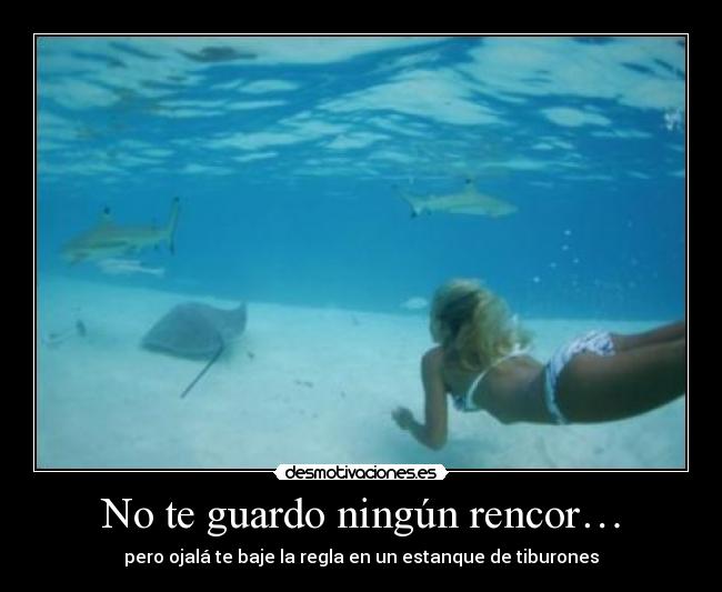 No te guardo ningún rencor… -