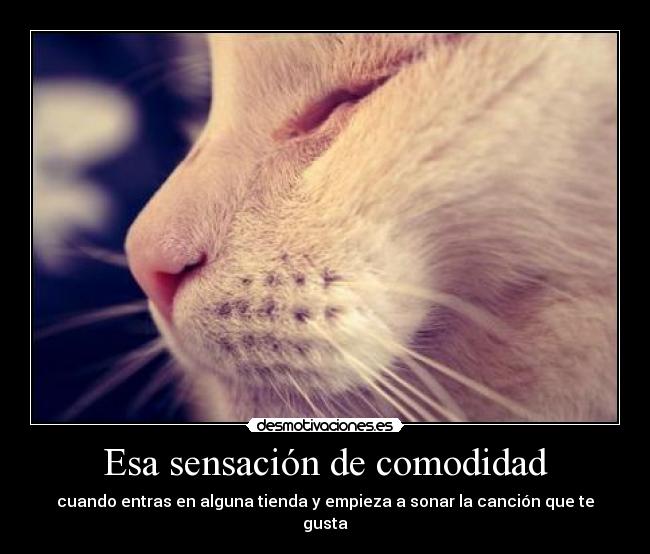 Esa sensación de comodidad -