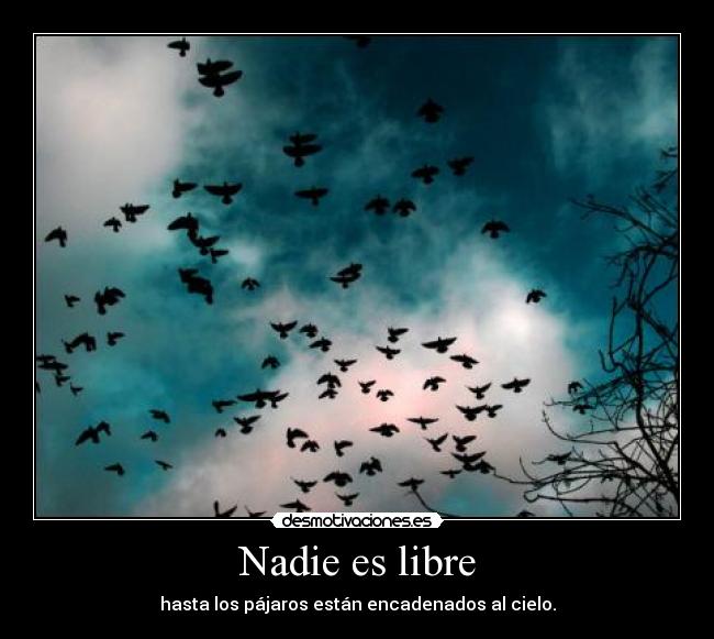 Nadie es libre - hasta los pájaros están encadenados al cielo.