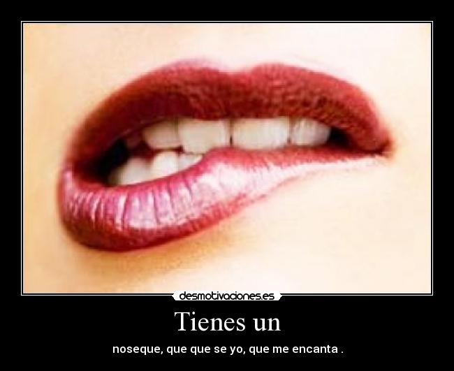 Tienes un - noseque, que que se yo, que me encanta .