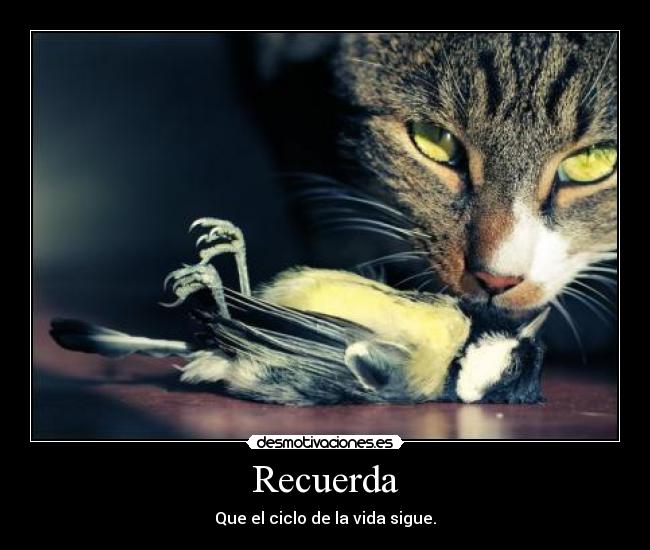 Recuerda - 