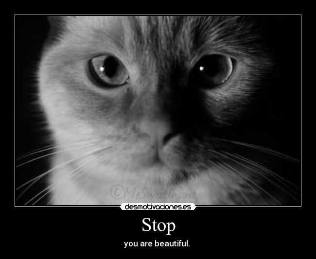 Stop - you are beautiful. ♥
