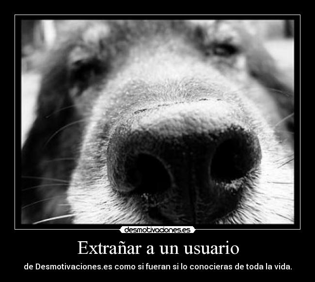 Extrañar a un usuario -