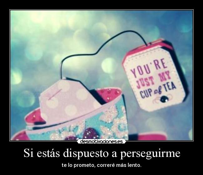 Si estás dispuesto a perseguirme - 