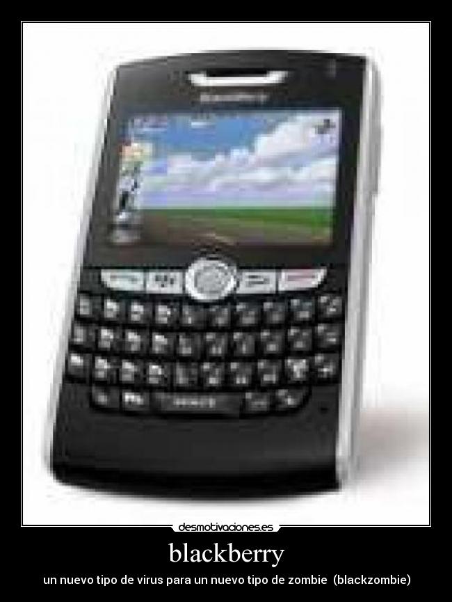 blackberry -