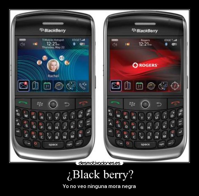 ¿Black berry? - Yo no veo ninguna mora negra