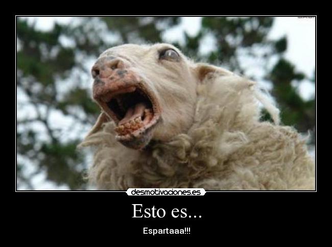 Esto es... -