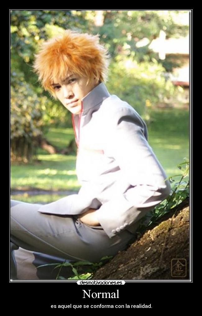 Normal - es aquel que se conforma con la realidad.